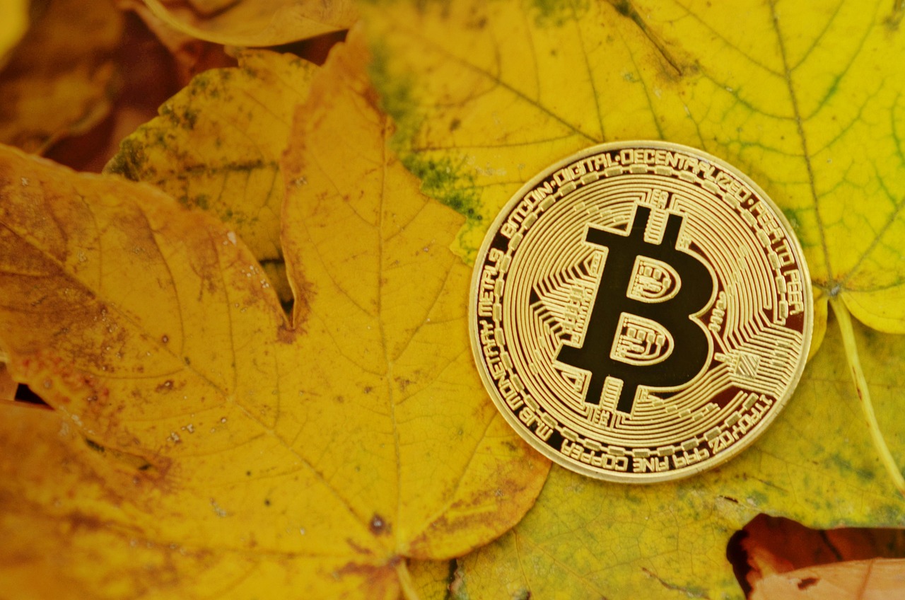 代币OM将启动回购和销毁计划、币价强弹80%！MANTRA将公开暴跌分析报告